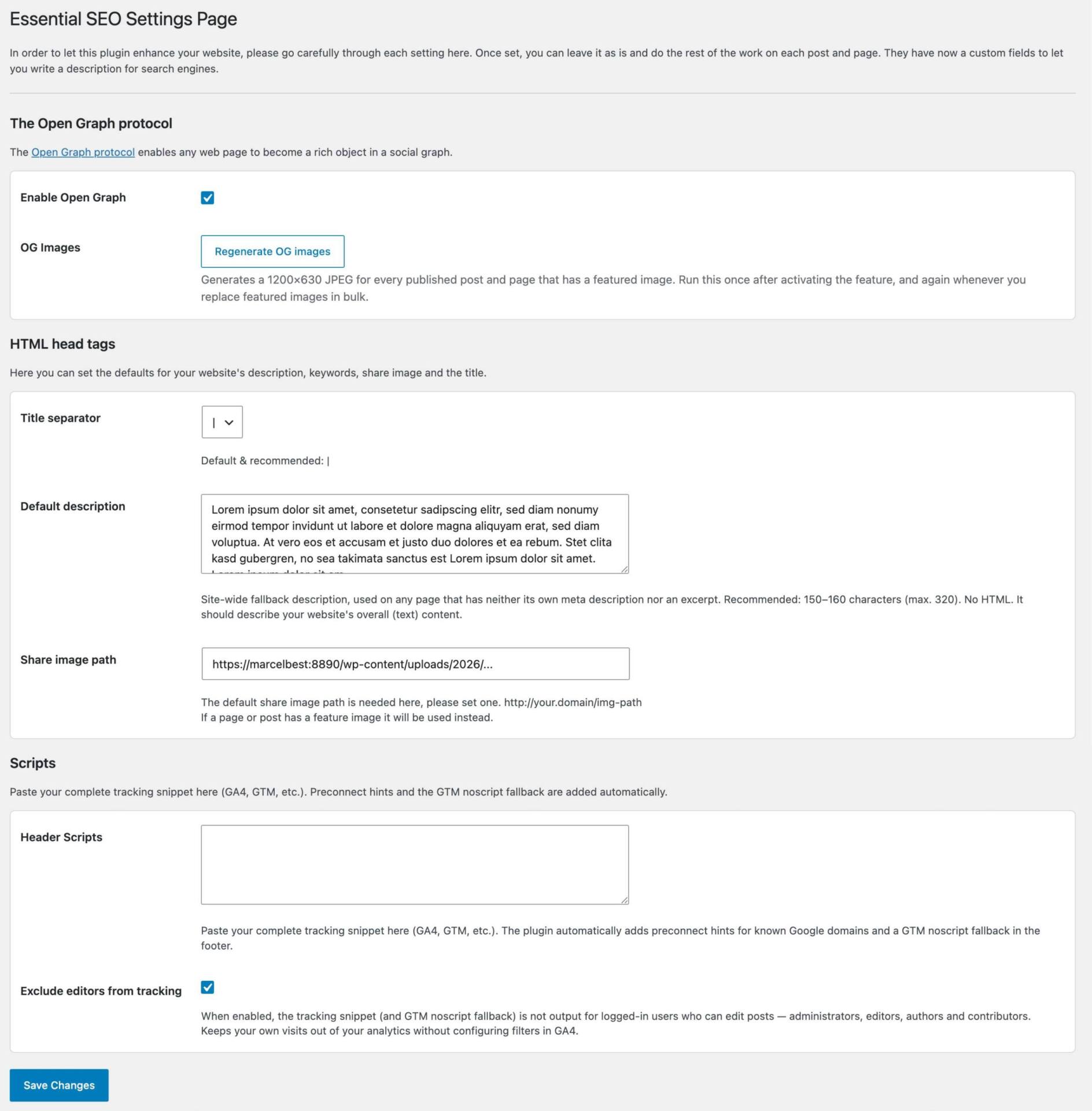 Essential SEO – Einstellungsseite