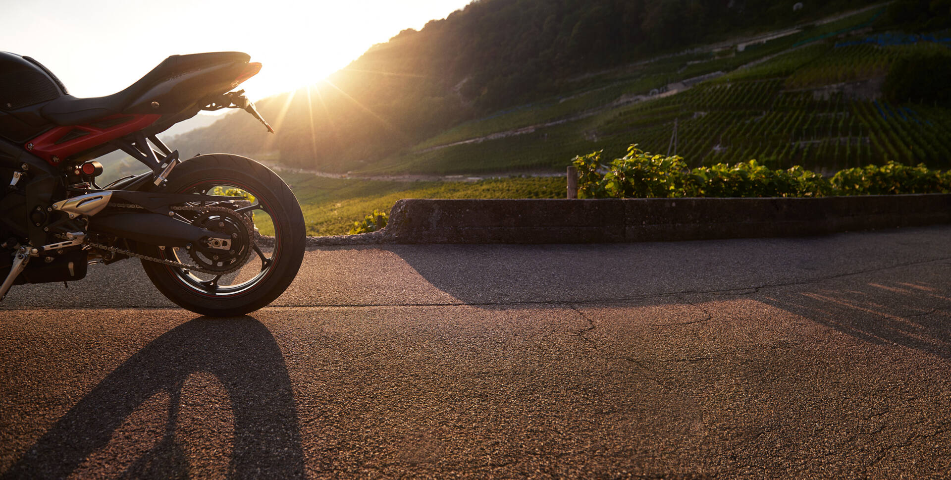 Heck einer Triumph Street Triple R 675 auf Asphalt vor Weinbergen, tiefstehende Sonne als Sonnenstern, lange Schatten auf der Strasse.