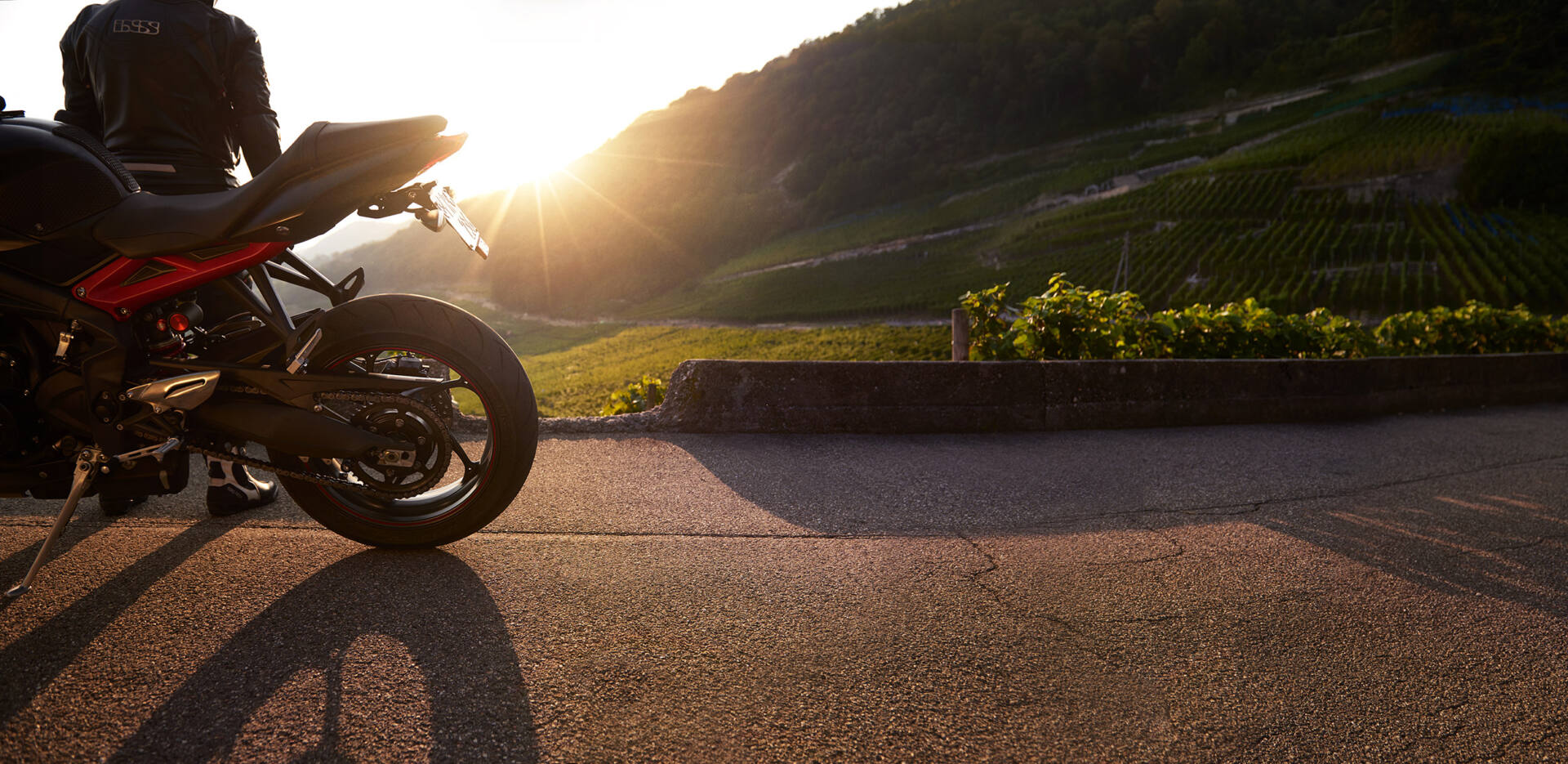 Motorradfahrer in Lederkombi von hinten auf dem Motorrad sitzend, Blick in den Sonnenuntergang über den Weinbergen, langer Schatten auf dem Asphalt.