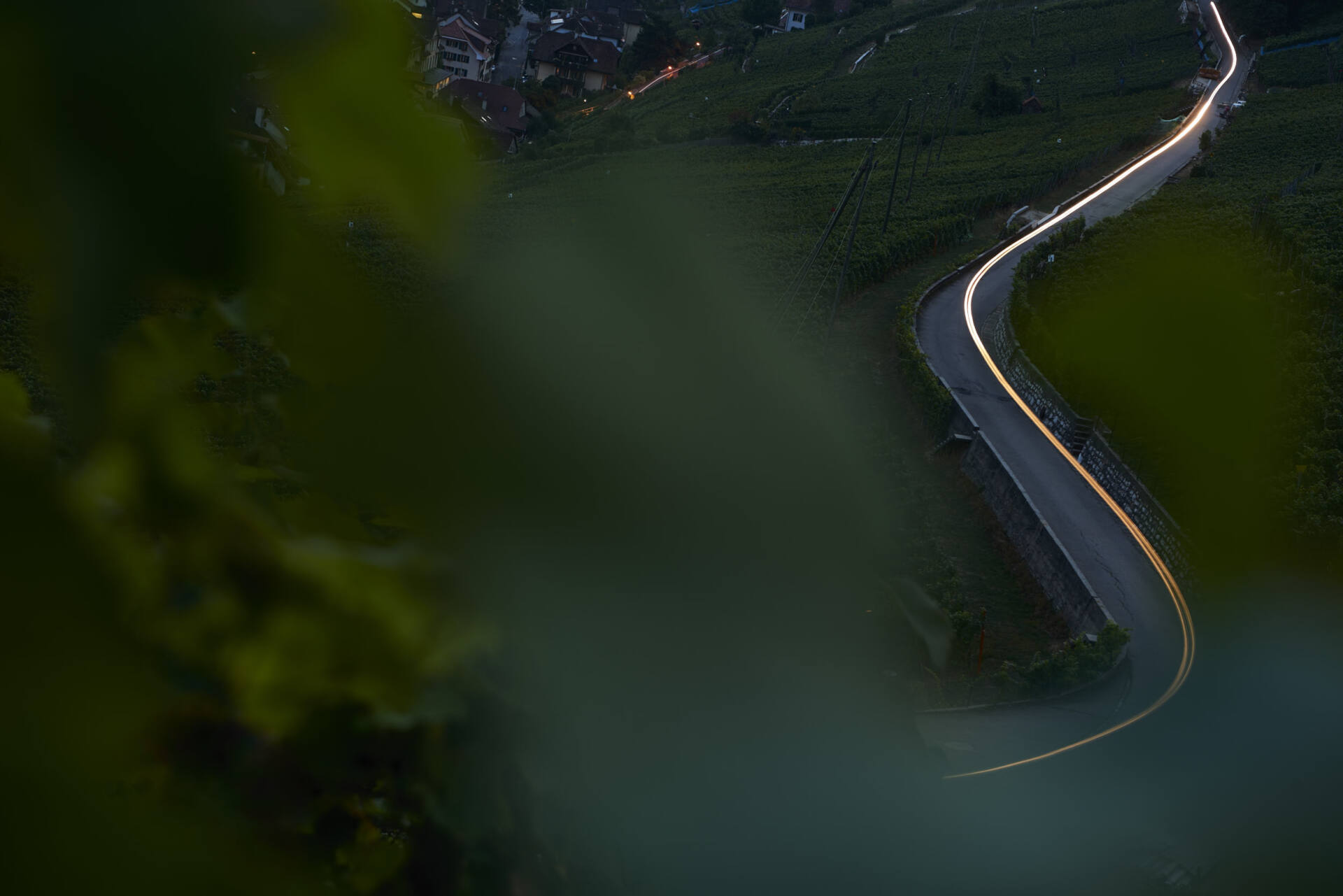 Kurvige Strasse durch die Weinberge in der blauen Dämmerung, ein heller, durchgehender Lichtstreifen zeichnet die Fahrt entlang der Kurve nach.